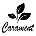 Carament Logo Partner